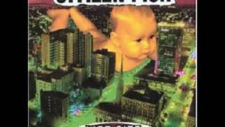 Citizen Fish-Wet Cement