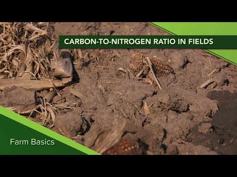 Farm Basics #1155 Carbon-to-Nitrogen Ratio (Air Date 5-24-20)