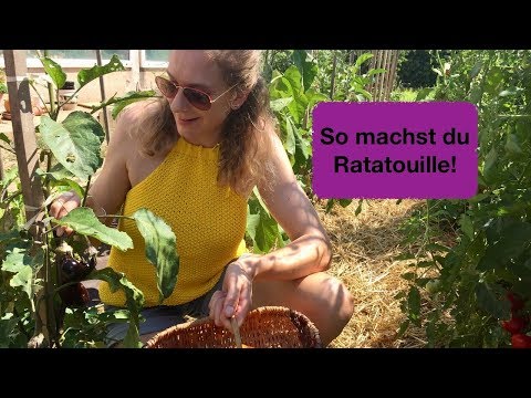 Ratatouille - Tomaten, Auberginen, Paprika!