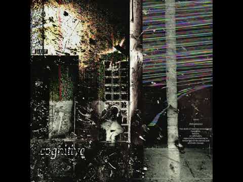 CHRONIC SHNXMAN - cognitive dissonance (prod. Shnxman)