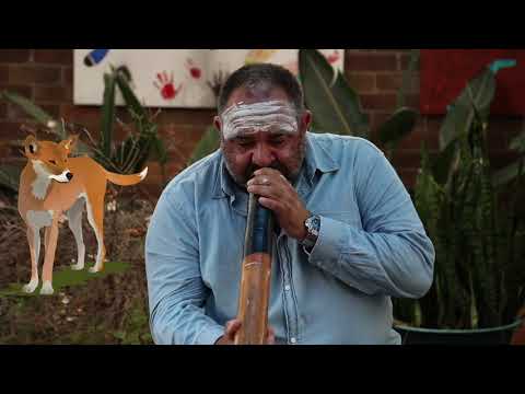 Learn about Yidaki (Didgeridoo) Aboriginal Music
