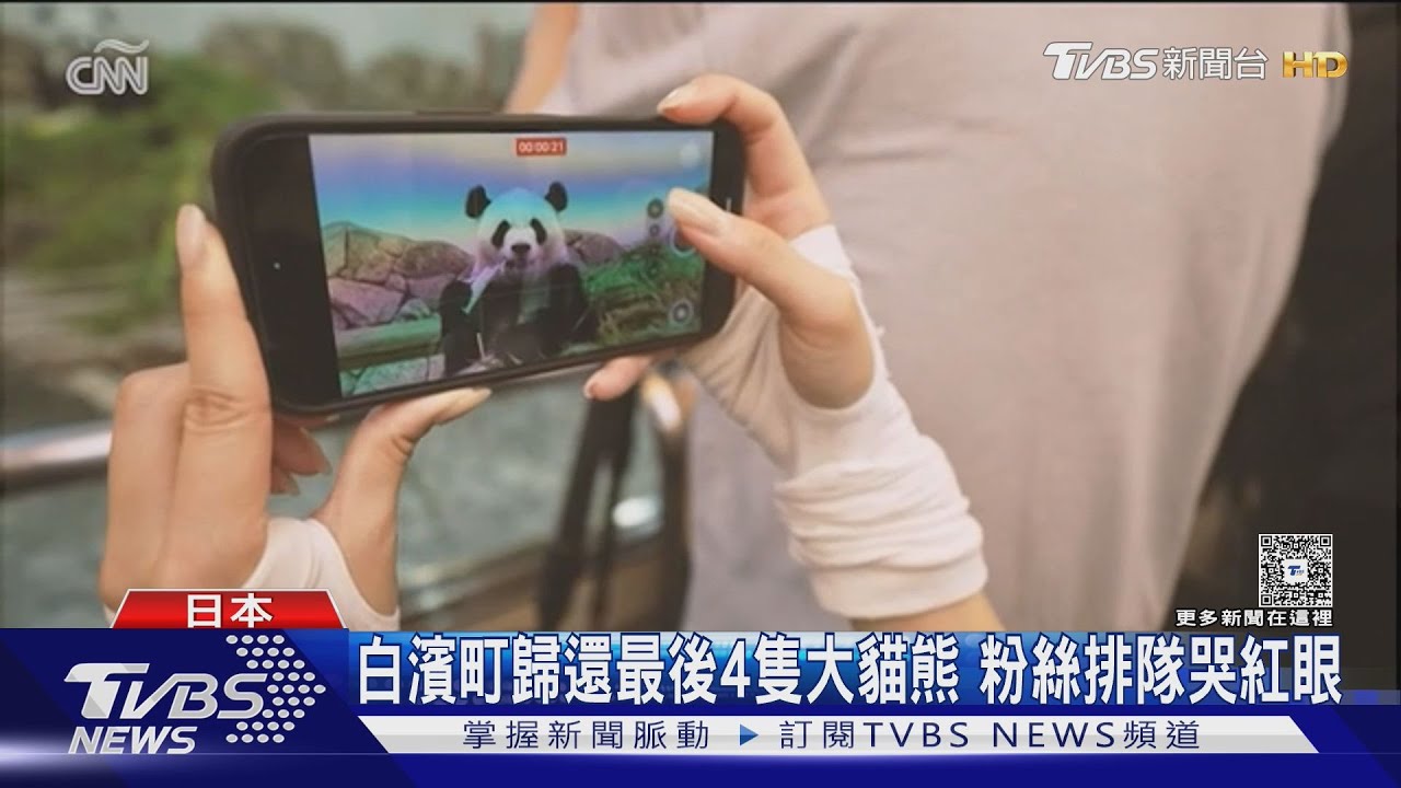 日中大貓熊外交破滅 日學者:與台灣有關