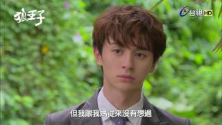 狼王子 台視官網 狼王子 台視官網