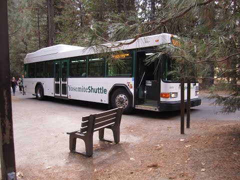 image-Is there shuttle service in Yosemite?