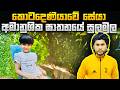 කොටදෙණියාවේ සේයා ඝාතනයේ සුලමුල ලංකාව
