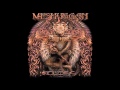 Meshuggah-Swarm
