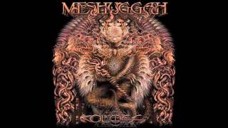 Meshuggah-Swarm