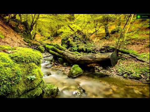 Emma Hewitt & Andrew Rayel - My Reflection _Remastered