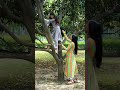 Ped Par Chadh Ke Tode Aam EP 151 Neetubisht Lakhneet Trendingonshorts Funny Nanandbhabhi