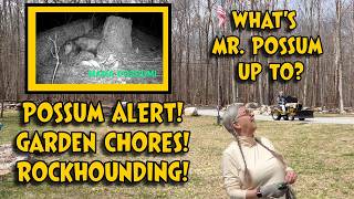 POSSUM ALERT! Vlog: Gardening & Rockhounding! And... What's Mr. Possum up to?