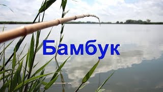 Брат сел под кустом разобрав удочки