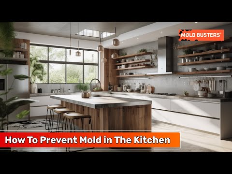 How To Prevent Mold in The Kitchen - Mold Busters