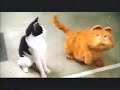 Garfield The Movie 2004 TV Spot 04