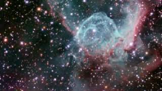 Good tiger- Grip Shoes