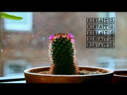 Keats 08: Twit One - Topsy Turvy