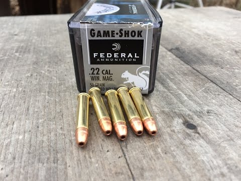 .22WMR/Magnum, 50gr JHP (#757) Federal Game Shok, Testing