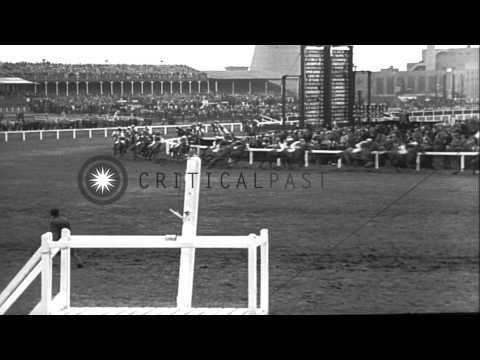 Ayala wins the Aintree Classic at Grand National horse race in Liverpool, England...HD Stock Footage