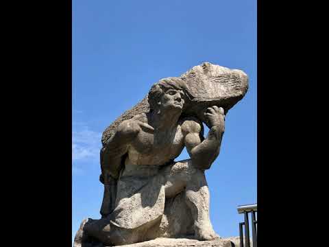 EP 217  Your Ability to Release is Your Ability to be Free