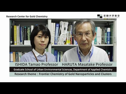 Frontier Chemistry of Gold Nanoparticles and Clusters