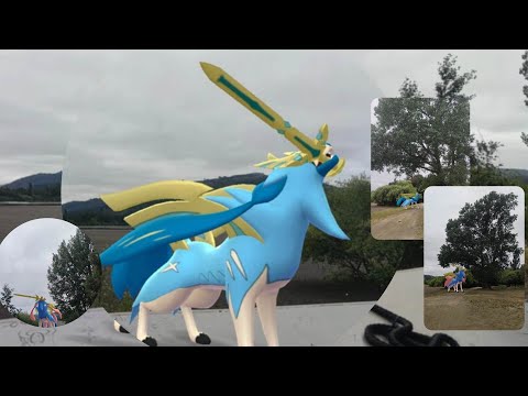 Ruta: Carrera de Zacian en el río Bio Bío, Hualqui 