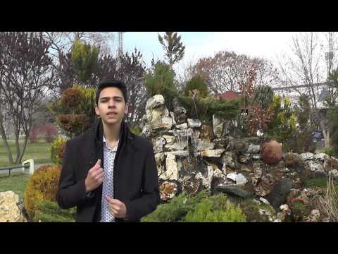 Trajce Gorgiev - Unutamam (Turkce Olimpiyatlari2017)