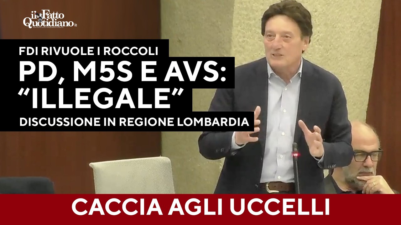 Catturare e ammazzare uccelli per FdI in Lombardia è "buon senso". Pd, M5s e Avs: "È illegale"