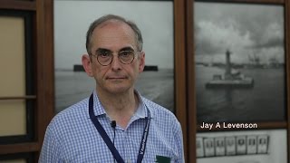 preview picture of video 'Jay A Levenson | Kochi-Muziris Biennale blends the local and international'