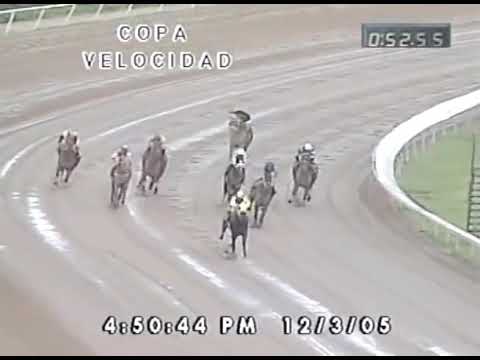 Copa velocidad del caribe año 2005