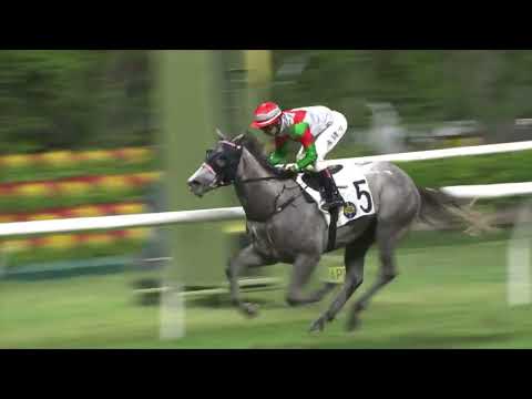 28/9/2022 (47) All Is Ready - V Borges