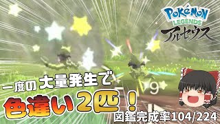 一度の大量発生で色違い2匹に遭遇！?【Pokémon LEGENDS アルセウス】【ゆっくり実況】#6
