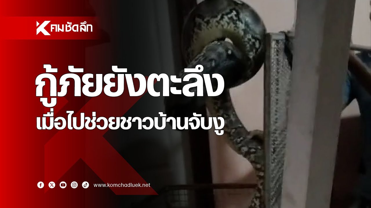 กู้ภัยยังตะลึง เมื่อไปช่วยชาวบ้านจับงูย่านธัญบุรี
