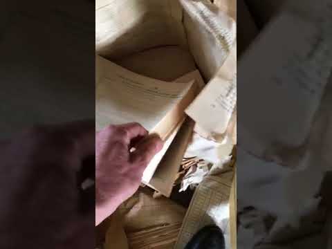 Fabrica de zahar Sascut, ruinele anului 2018