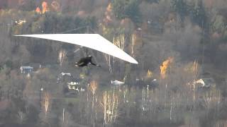 preview picture of video 'Ellenville Hang Glider Launch #3 - 11/2/2013'