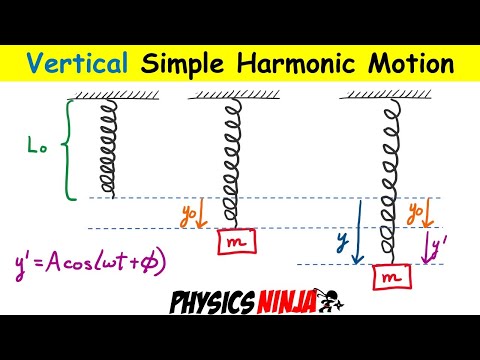 Vertical Simple Harmonic Motion