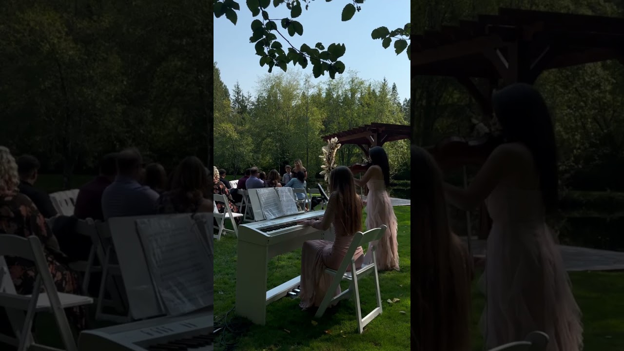 Promotional video thumbnail 2 for Serene Strings Violinist
