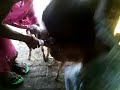 Bin Maa Ke Bachche