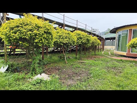 Yaad Pia Ki Aane Lagi 😍 #trending #nature #live 