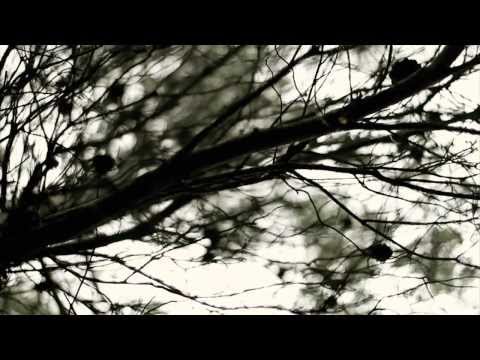 AVICII - Wake me up (Gonzalo Castañeda Cover)