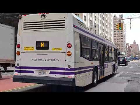 MTA/NYU Academy bus: 2017 Nova LFS and 2019 NFI XD40 on the L92 and Route W