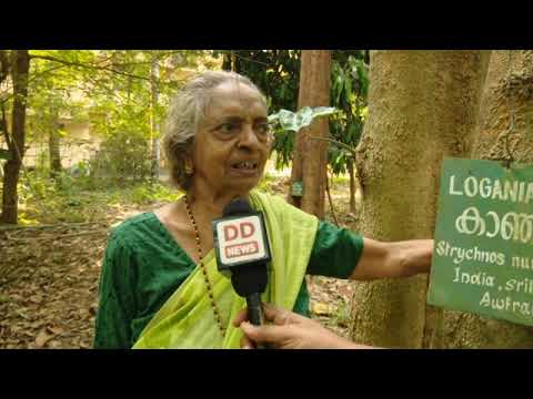 Can one Person Create a Forest? Look at Devaki Amma's Life, Alappuzha