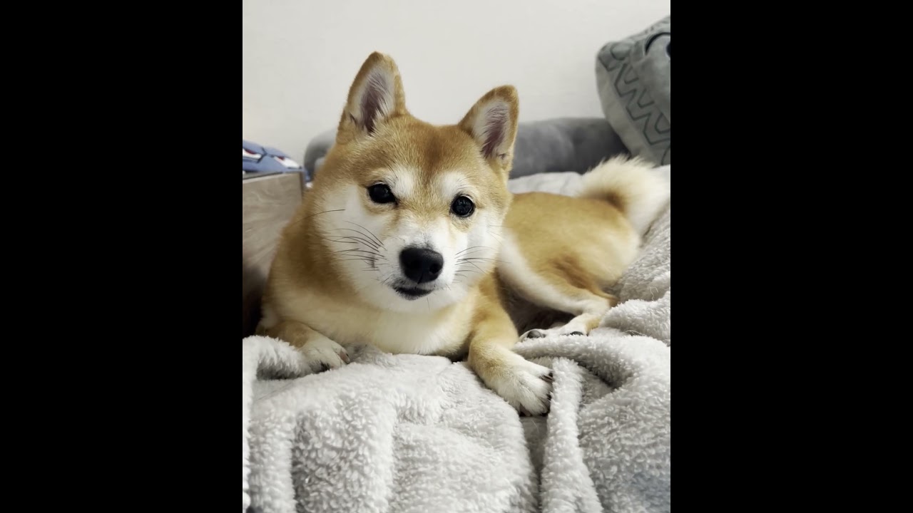 起こしちゃってごめんね(´ω｀)