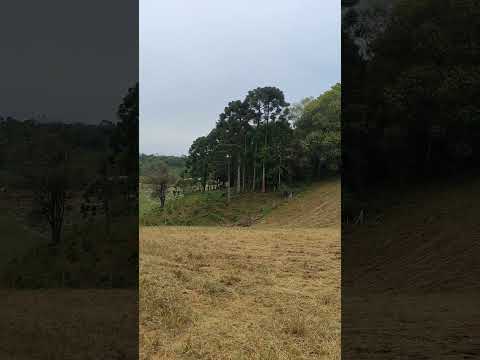 Zona rural de Castro ... #zonarural #agro #castro #parana #paraná