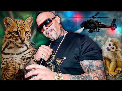 The TWISTED Rise and Fall of Mally Mall