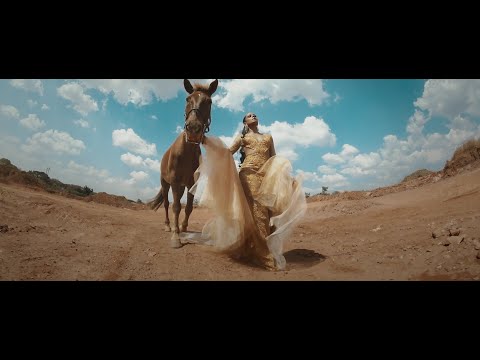 SALMA SKY   FREE FEAT LJ MOJO  (Official Music Video)