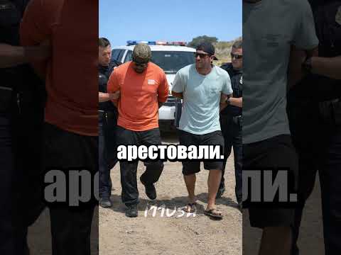 Не залазьте на китов