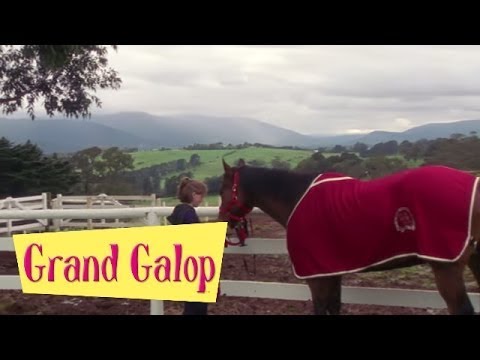 Grand Galop 102 - Sauvetage | HD | Épisode Complet