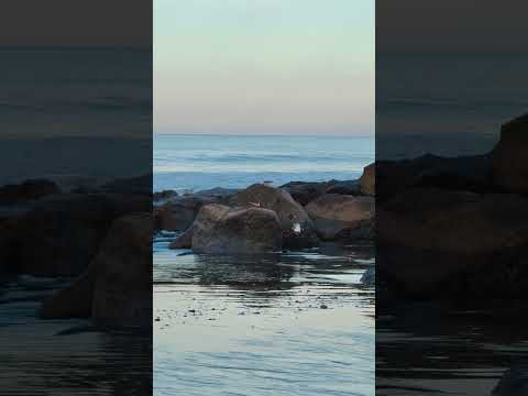 Playa Miramar, León #miramar #playa #mar #nagarote #leon