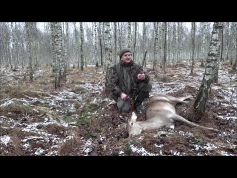 Spotkałem Myśliwych - odcinek 283  Łania z ambony - polowanie zbiorowe w KŁ ,,Łoś'' Gliwice