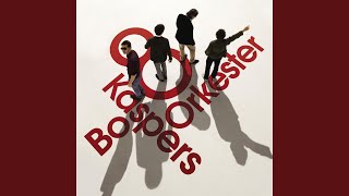 Tack för konserten (Din jävel)