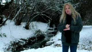 White Christmas! BSL first song signed!